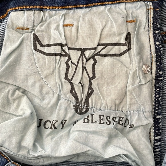 Lucky & Blessed Mid Rise Ankle Skinny Size 10 - Picture 8 of 8